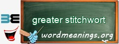 WordMeaning blackboard for greater stitchwort